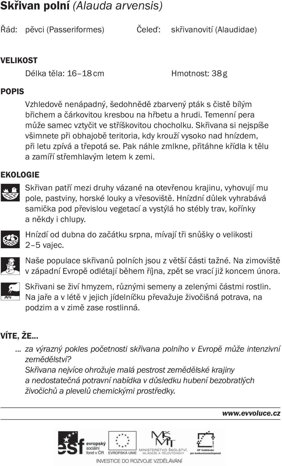 Skřivana si nejspíše všimnete při obhajobě teritoria, kdy krouží vysoko nad hnízdem, při letu zpívá a třepotá se. Pak náhle zmlkne, přitáhne křídla k tělu a zamíří střemhlavým letem k zemi.