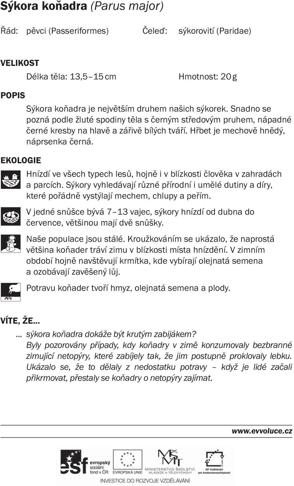 EKOLOGIE Hnízdí ve všech typech lesů, hojně i v blízkosti člověka v zahradách a parcích. Sýkory vyhledávají různé přírodní i umělé dutiny a díry, které pořádně vystýlají mechem, chlupy a peřím.