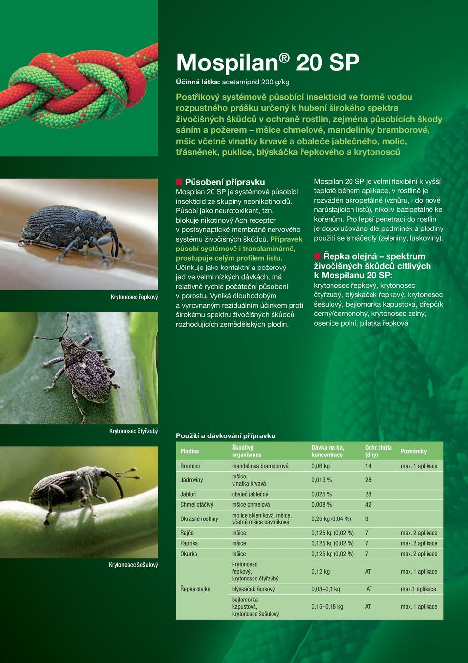 řepkový Působení přípravku Mospilan 20 SP je systémově působící insekticid ze skupiny neonikotinoidů. Působí jako neurotoxikant, tzn.