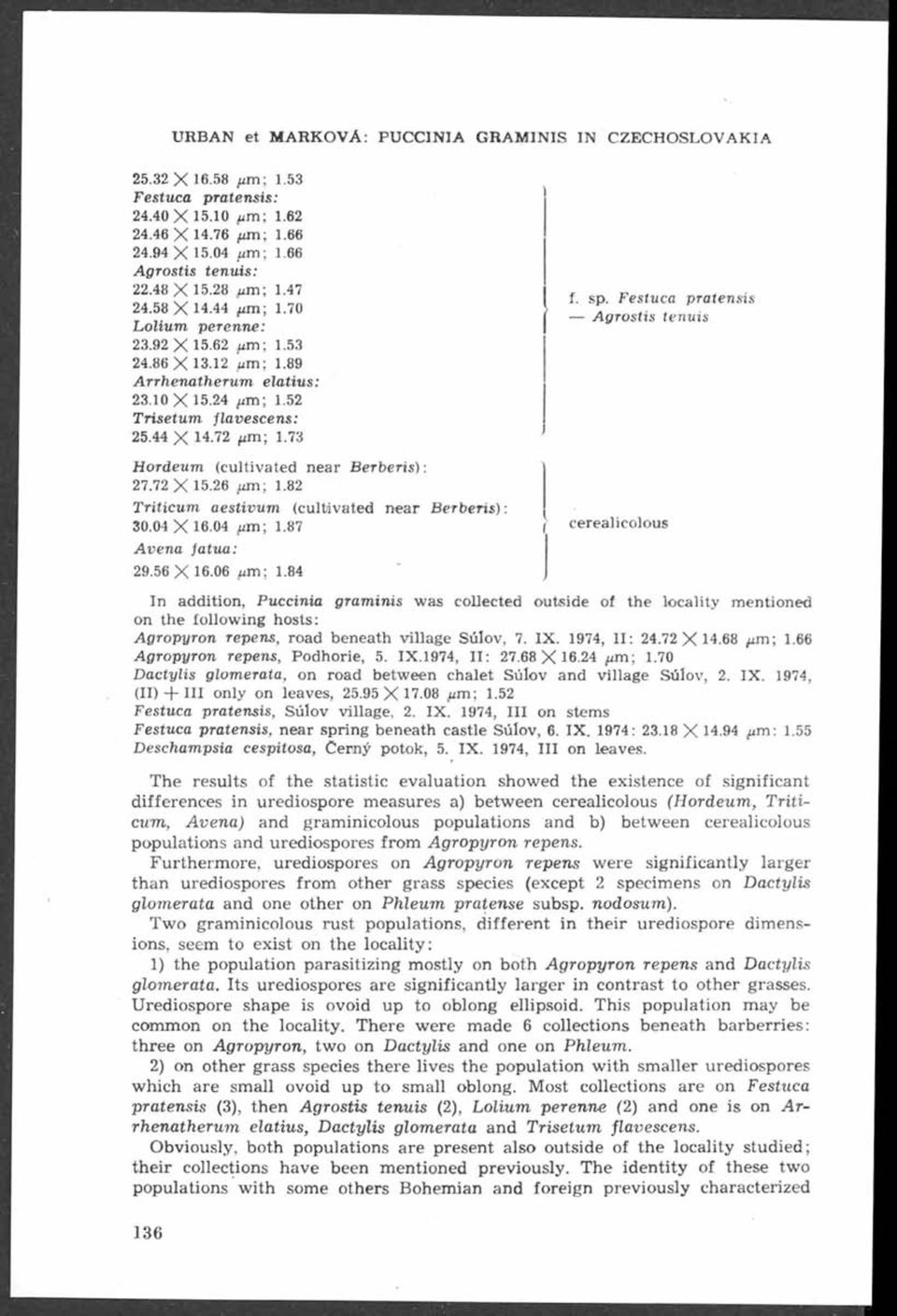 24 (im; 1.52 Trisetum jlavescens: 25.44 X 14.72 ^m; 1.73 Hordeum (cultivated near Berberis): 27.72 X 15.26 fim; 1.82 Triticum aestivum (cultivated near Berberis): 30.04X 16.04 fim; 1.