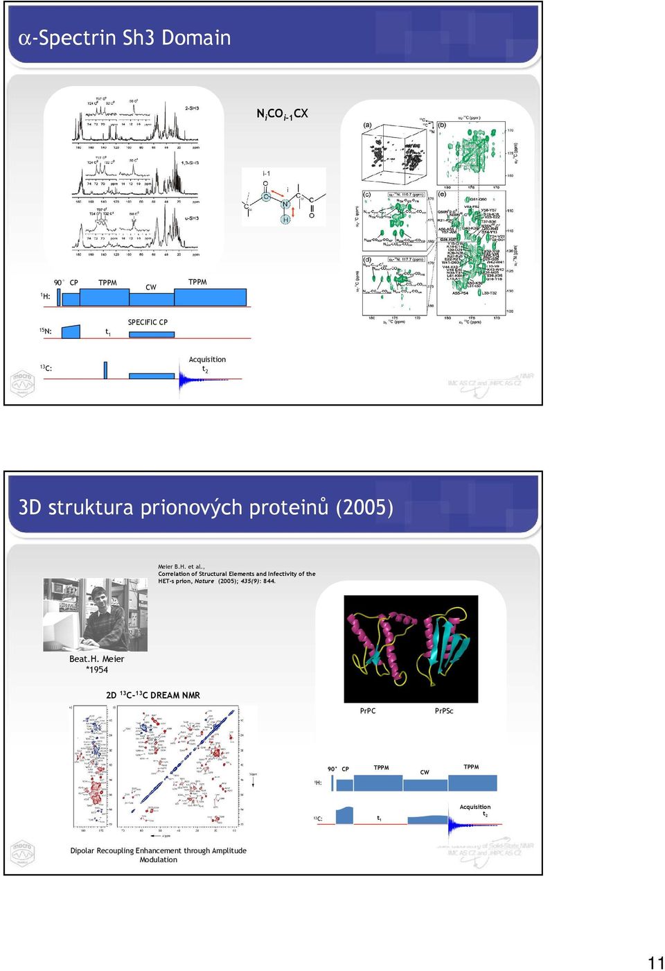 , Correlation of Structural Elements and Infectivity of the HET-s prion, Nature (2005);