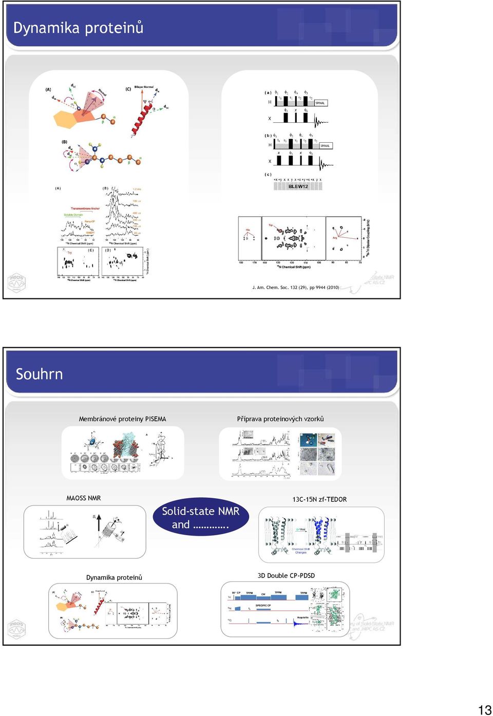 Příprava proteinových vzorků MAOSS NMR Solid-state NMR and.