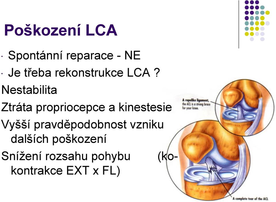 Nestabilita Ztráta propriocepce a kinestesie Vyšší