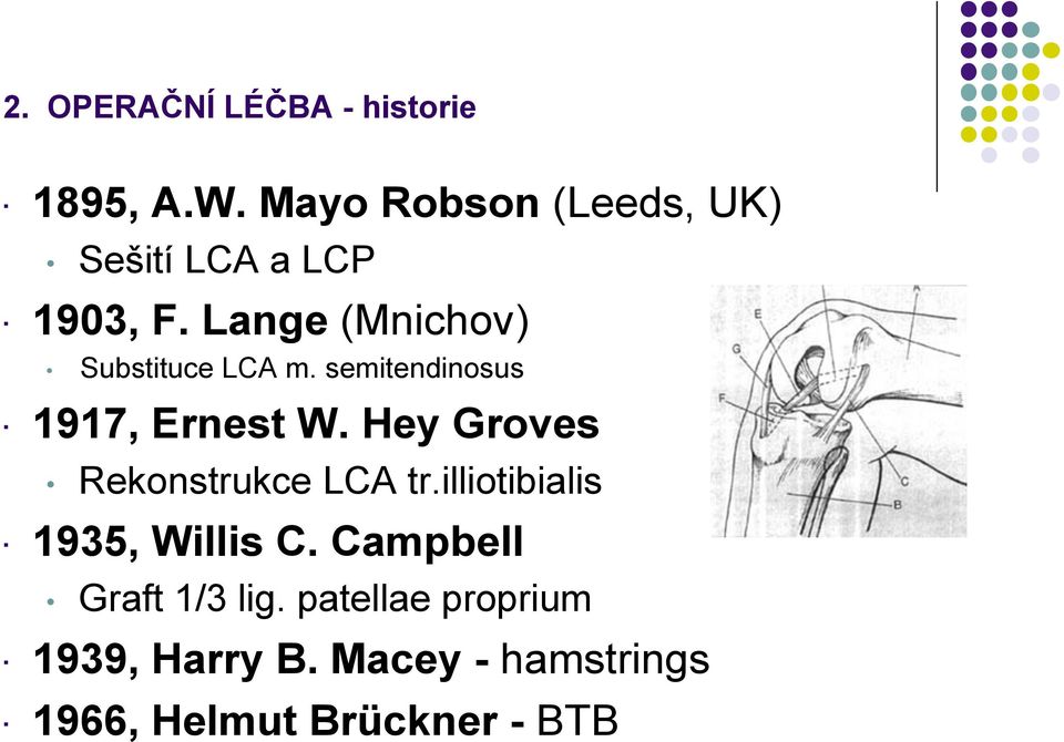 Lange (Mnichov) Substituce LCA m. semitendinosus 1917, Ernest W.