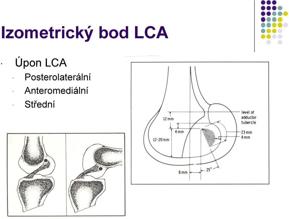 Posterolaterální