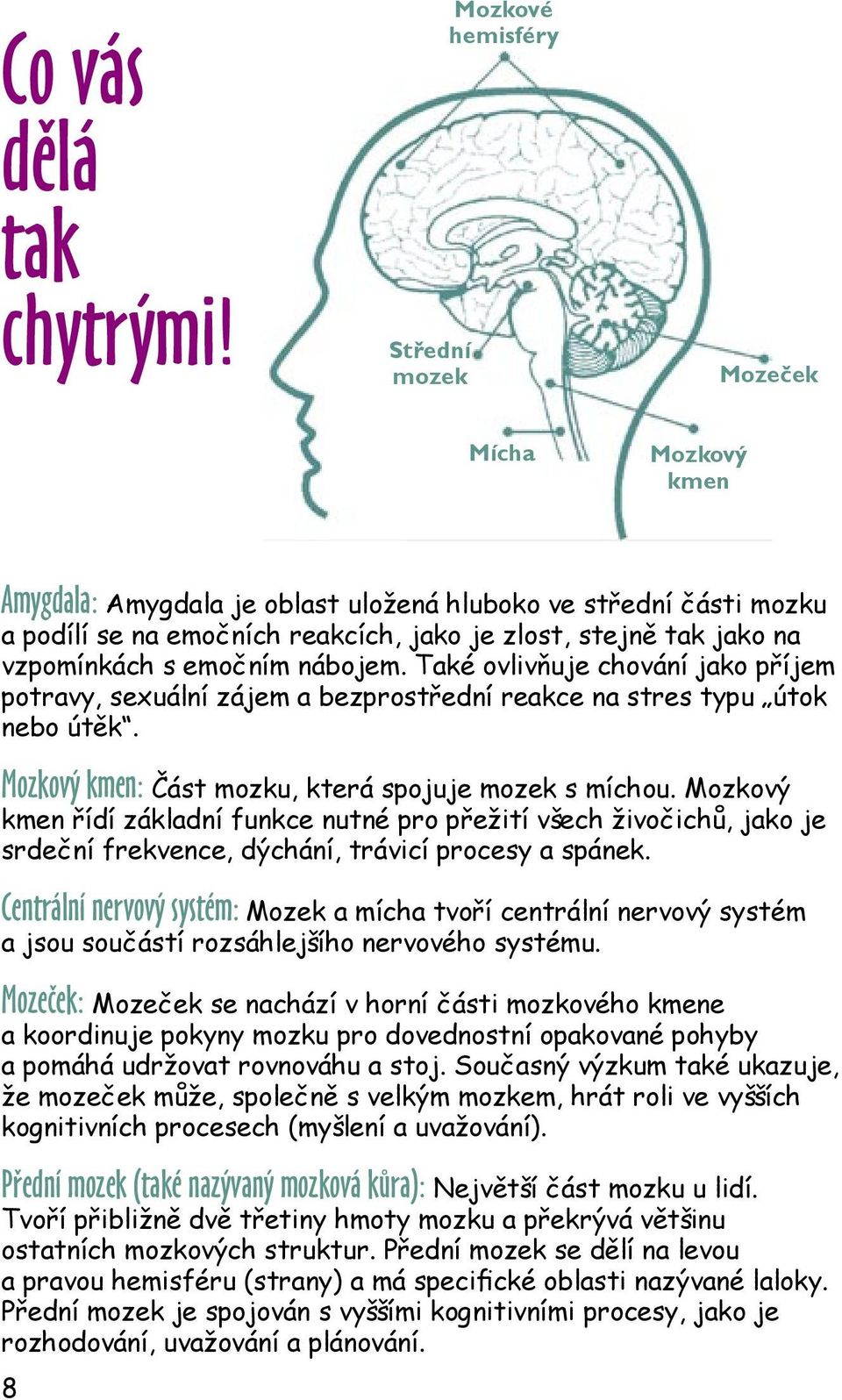 vzpomínkách s emočním nábojem. Také ovlivňuje chování jako příjem potravy, sexuální zájem a bezprostřední reakce na stres typu útok nebo útěk. Mozkový kmen: Část mozku, která spojuje mozek s míchou.