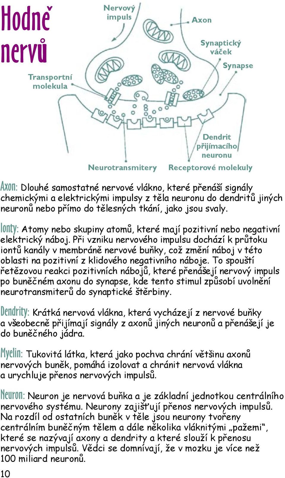 Ionty: Atomy nebo skupiny atomů, které mají pozitivní nebo negativní elektrický náboj.