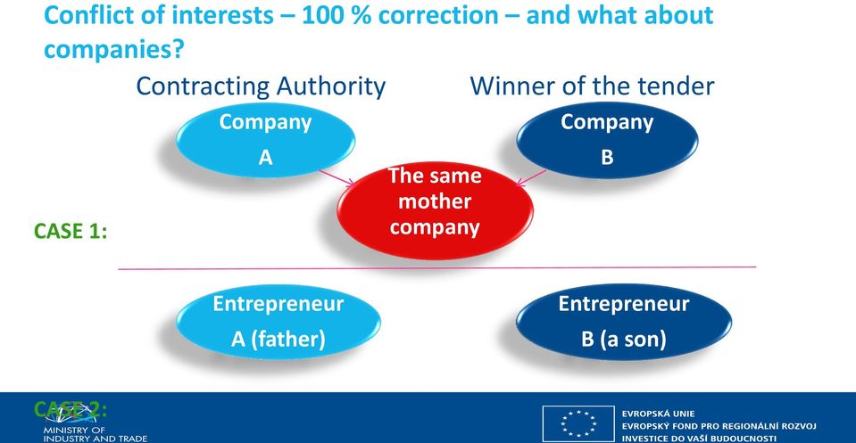 Contracting Authority Winner of the tender CASE 1: