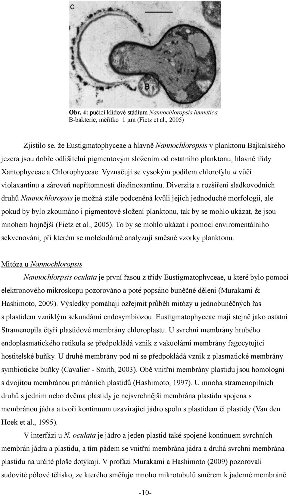 Chlorophyceae. Vyznačují se vysokým podílem chlorofylu a vůči violaxantinu a zároveň nepřítomností diadinoxantinu.