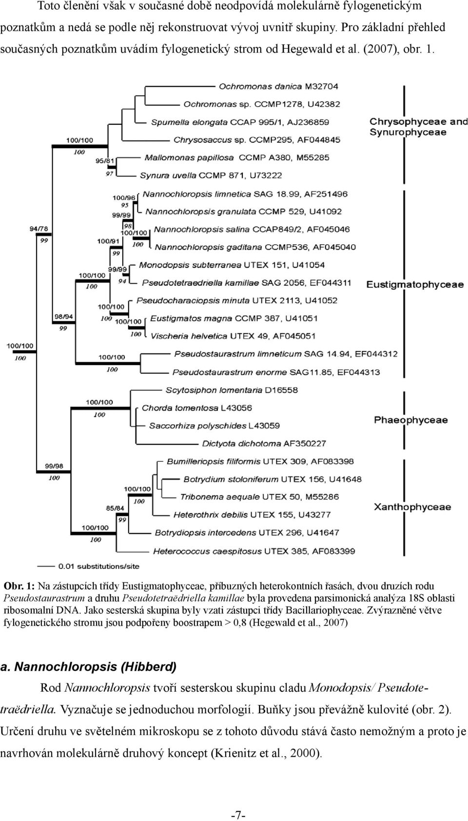 1: Na zástupcích třídy Eustigmatophyceae, příbuzných heterokontních řasách, dvou druzích rodu Pseudostaurastrum a druhu Pseudotetraëdriella kamillae byla provedena parsimonická analýza 18S oblasti