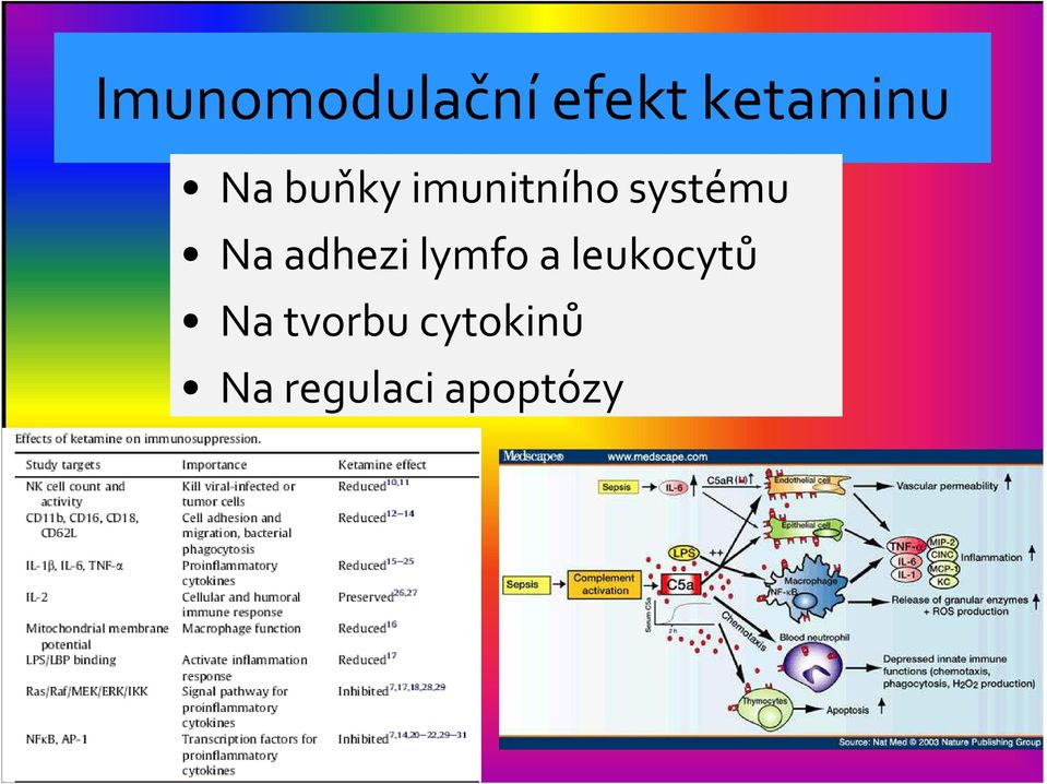 adhezi lymfo a leukocytů Na