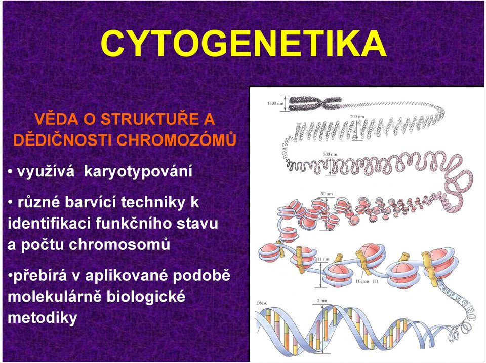 techniky k identifikaci funkčního stavu a počtu