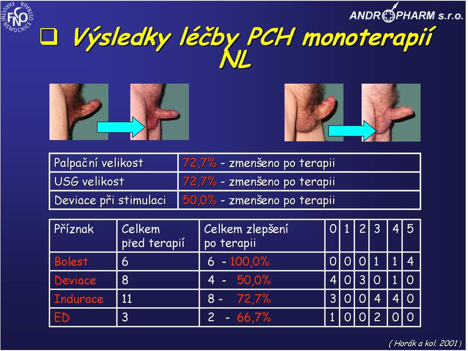 před terapií Celkem zlepšení po terapii 0 1 2 3 4 5 Bolest 6 6-100,0% 0 0 0 1 1 4 Deviace 8