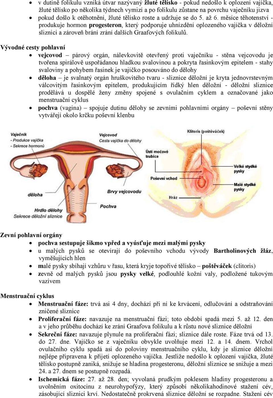 měsíce těhotenství - produkuje hormon progesteron, který podporuje uhnízdění oplozeného vajíčka v děložní sliznici a zároveň brání zrání dalších Graafových folikulů.