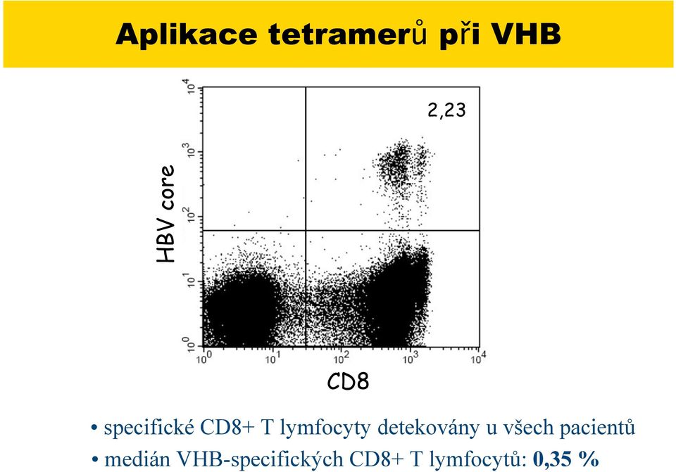 CD8+ T lymfocyty detekovány u v%ech