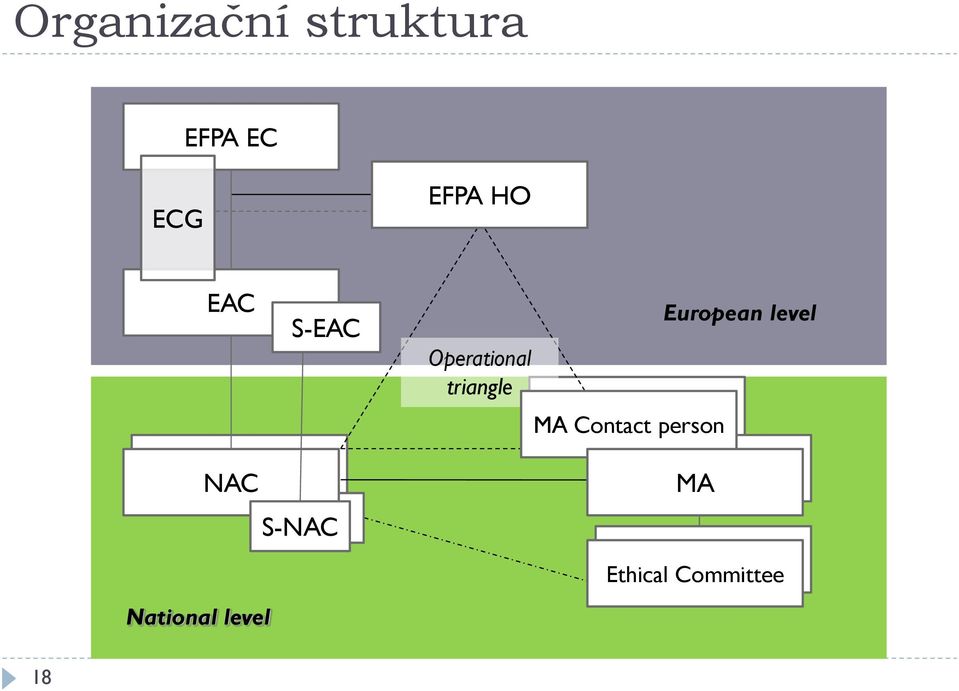 Operational triangle MA Contact person