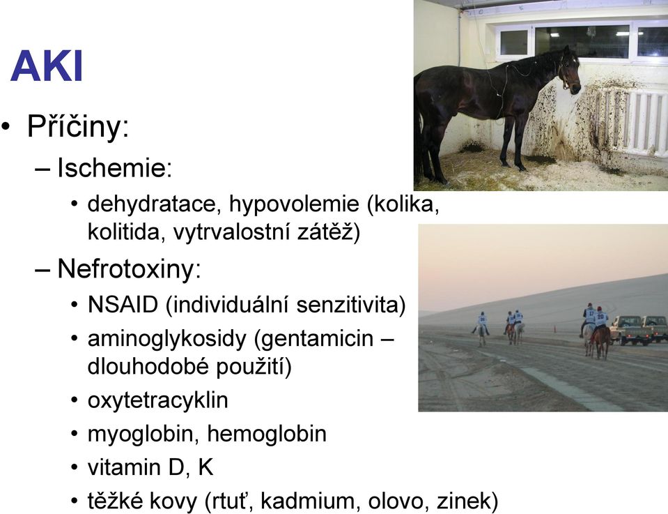 aminoglykosidy (gentamicin dlouhodobé použití) oxytetracyklin