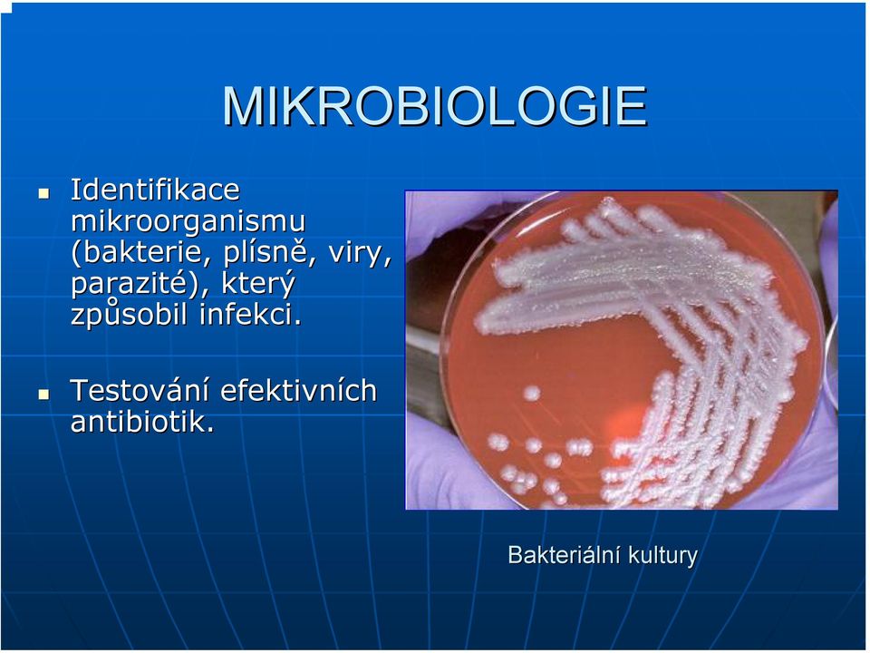 parazité), který způsobil infekci.