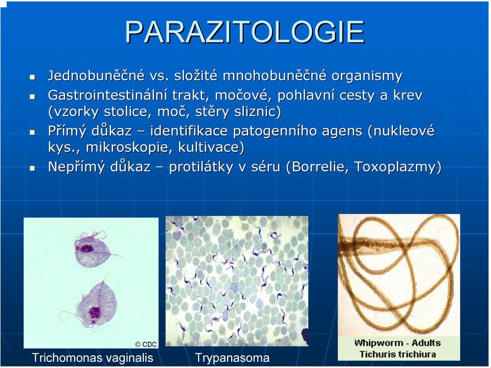 cesty a krev (vzorky stolice, moč,, stěry sliznic) Přímý důkaz d identifikace patogenního