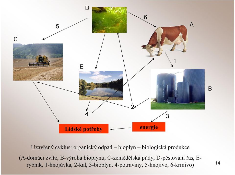 B-výroba bioplynu, C-zemědělská půdy, D-pěstování řas, Erybník,