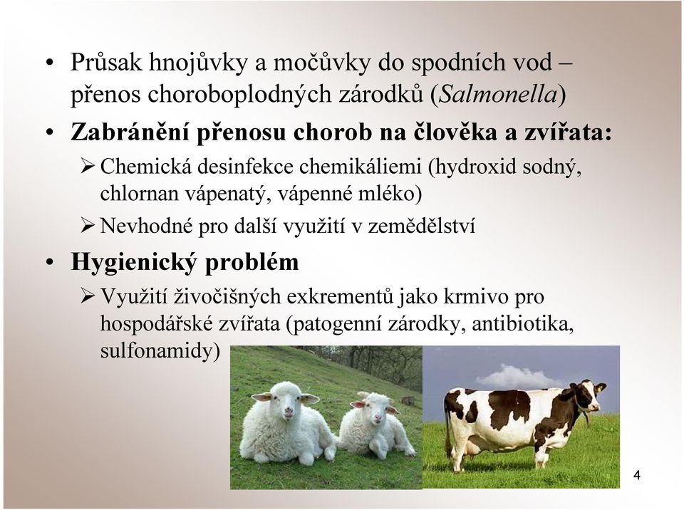 vápenatý, vápenné mléko) Nevhodné pro další využití v zemědělství Hygienický problém Využití