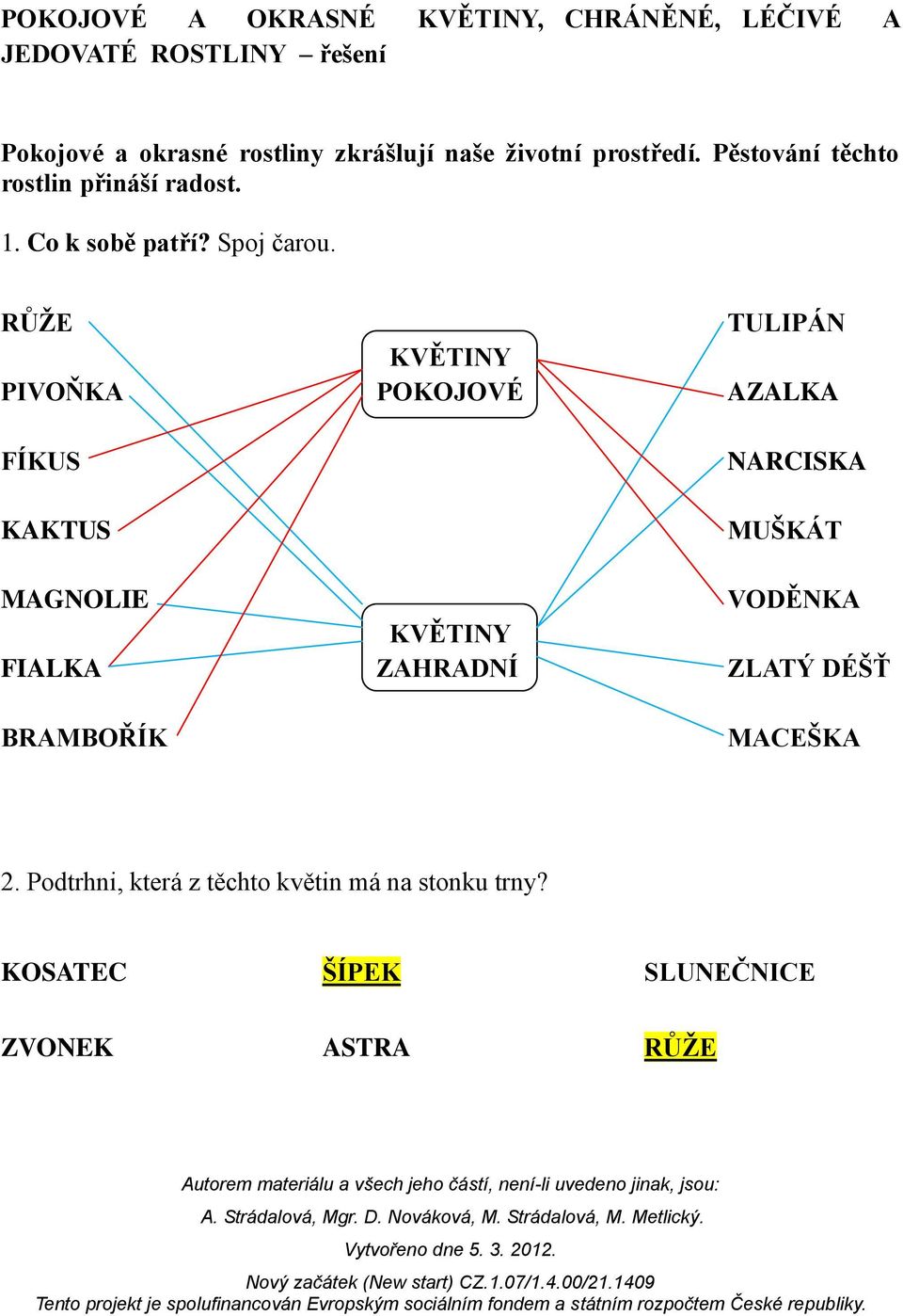 RŮŽE TULIPÁN KVĚTINY PIVOŇKA POKOJOVÉ AZALKA FÍKUS KAKTUS NARCISKA MUŠKÁT MAGNOLIE VODĚNKA KVĚTINY FIALKA