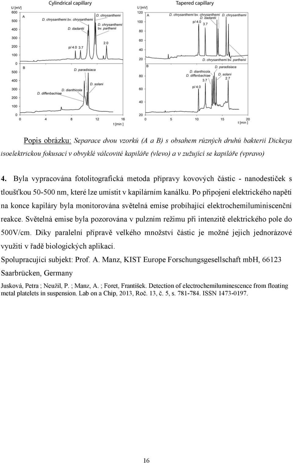 Po připojení elektrického napětí na konce kapiláry byla monitorována světelná emise probíhající elektrochemiluminiscenční reakce.