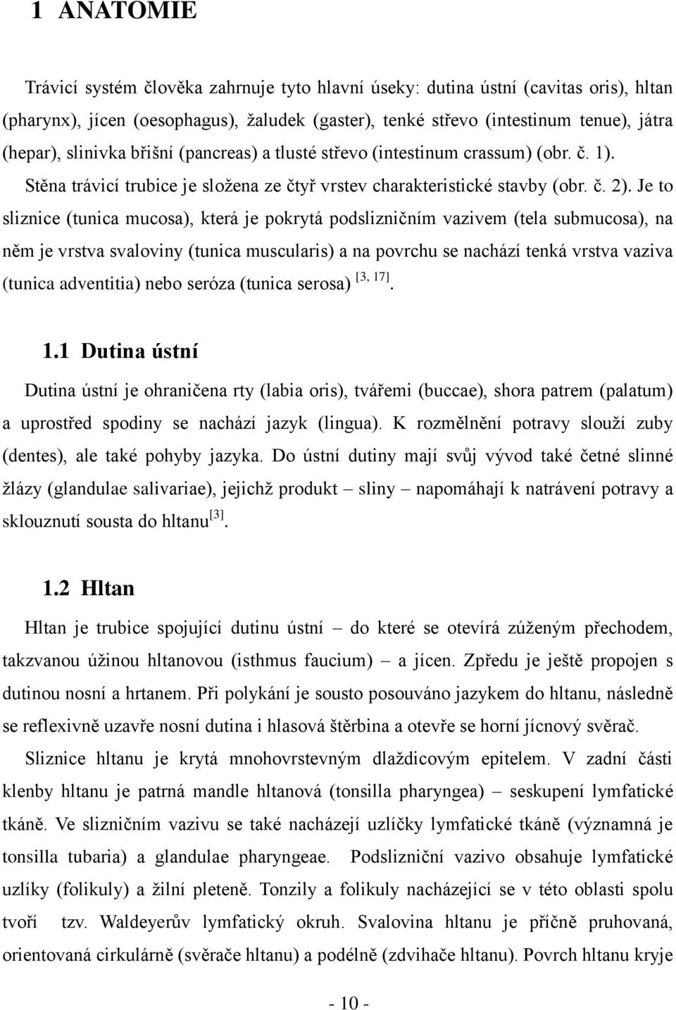 Je to sliznice (tunica mucosa), která je pokrytá podslizničním vazivem (tela submucosa), na něm je vrstva svaloviny (tunica muscularis) a na povrchu se nachází tenká vrstva vaziva (tunica adventitia)