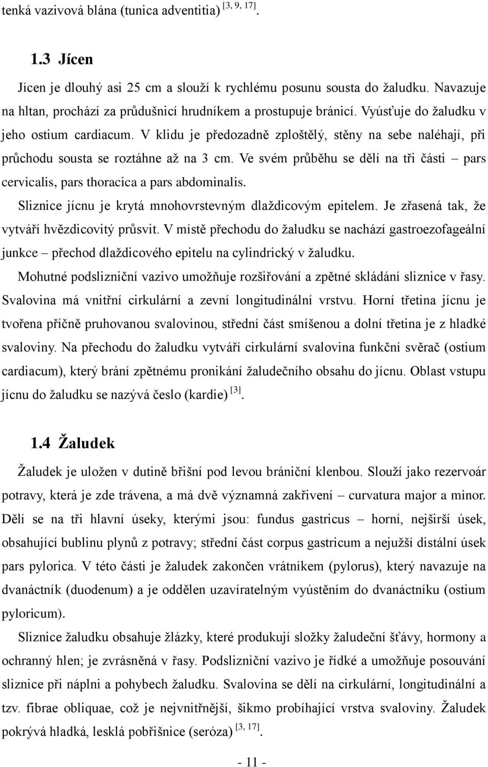 V klidu je předozadně zploštělý, stěny na sebe naléhají, při průchodu sousta se roztáhne až na 3 cm. Ve svém průběhu se dělí na tři části pars cervicalis, pars thoracica a pars abdominalis.