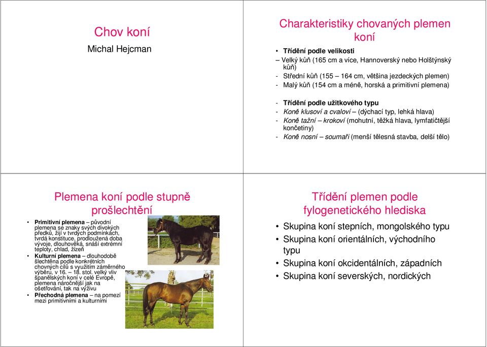 končetiny) - Koně nosní soumaři (menší tělesná stavba, delší tělo) Plemena koní podle stupně prošlechtění Primitivní plemena původní plemena se znaky svých divokých předků, žijí v tvrdých podmínkách,