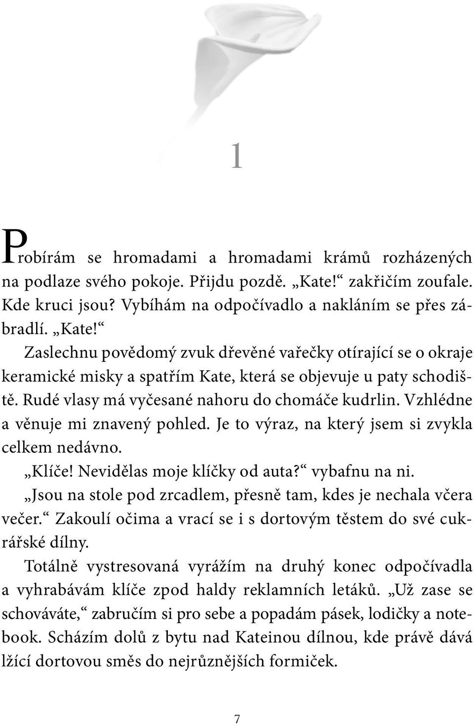 Zaslechnu povědomý zvuk dřevěné vařečky otírající se o okraje keramické misky a spatřím Kate, která se objevuje u paty schodiště. Rudé vlasy má vyčesané nahoru do chomáče kudrlin.