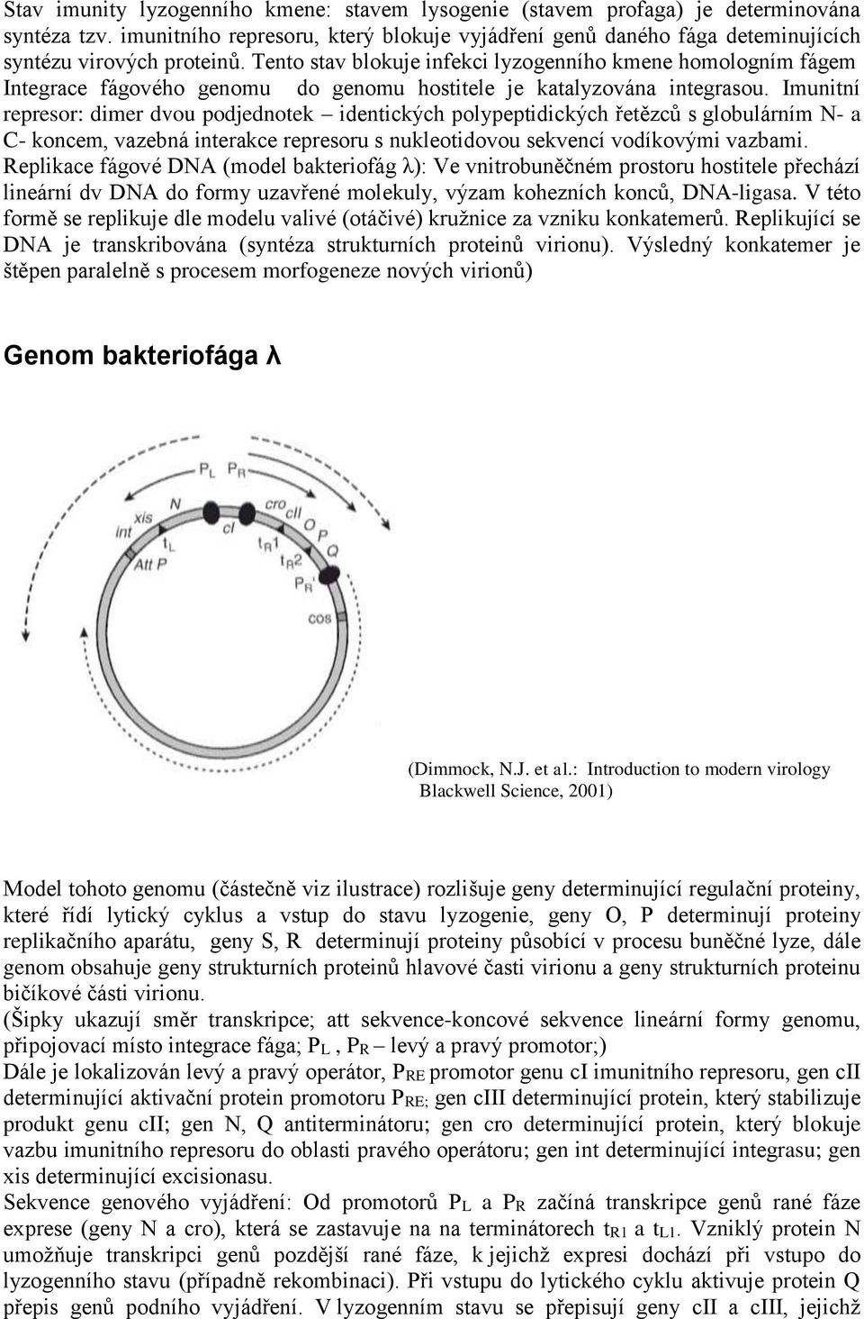 Imunitní represor: dimer dvou podjednotek identických polypeptidických řetězců s globulárním N- a C- koncem, vazebná interakce represoru s nukleotidovou sekvencí vodíkovými vazbami.