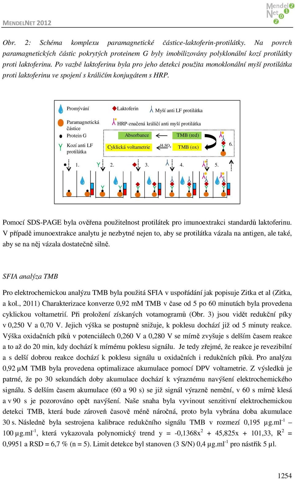 Promývání Laktoferin Myší anti LF protilátka Paramagnetická částice Protein G Kozí anti LF protilátka HRP-značená králičí anti myší protilátka Absorbance TMB (red) Cyklická voltametrie H 2 SO 4 TMB