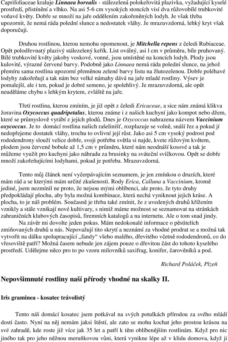 Je však třeba upozornit, že nemá ráda polední slunce a nedostatek vláhy. Je mrazuvzdorná, lehký kryt však doporučuji. Druhou rostlinou, kterou nemohu opomenout, je Mitchella repens z čeledi Rubiaceae.