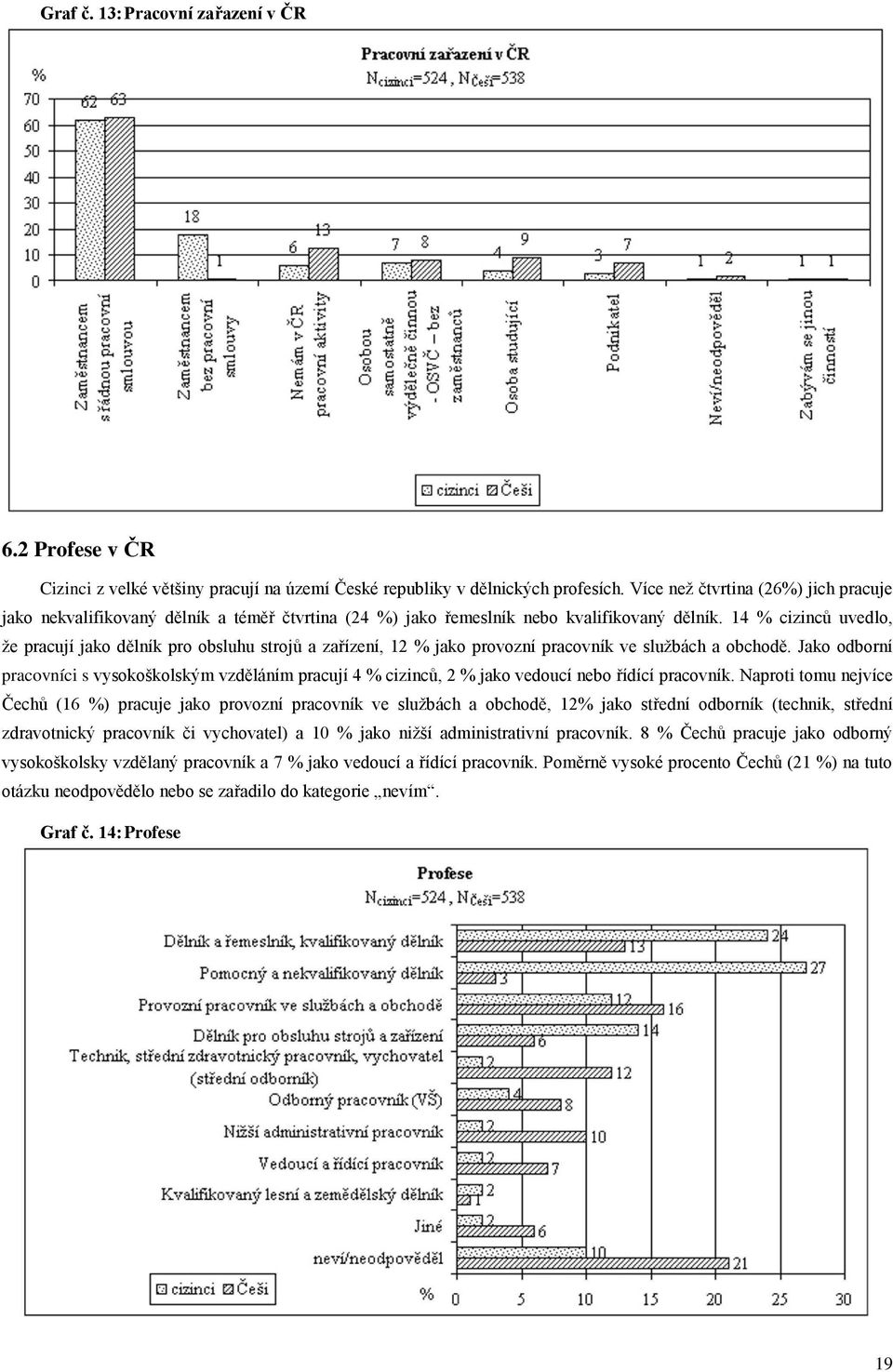 14 % cizinců uvedlo, že pracují jako dělník pro obsluhu strojů a zařízení, 12 % jako provozní pracovník ve službách a obchodě.