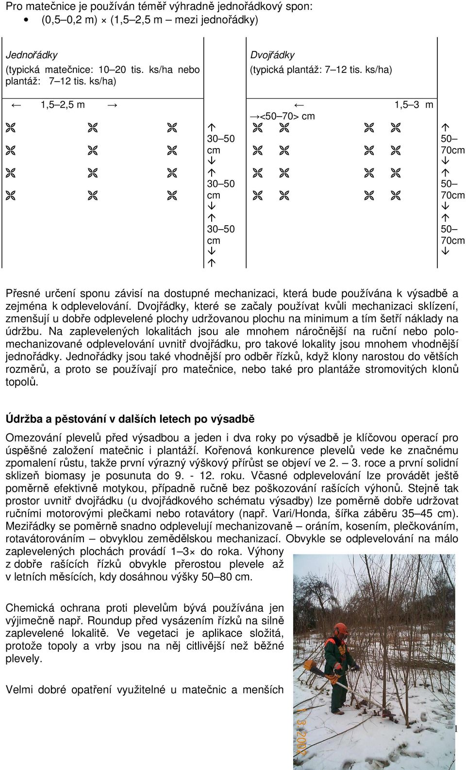 ks/ha) 1,5 2,5 m 1,5 3 m <50 70> cm 30 50 cm 30 50 cm 30 50 cm 50 70cm 50 70cm 50 70cm Přesné určení sponu závisí na dostupné mechanizaci, která bude používána k výsadbě a zejména k odplevelování.