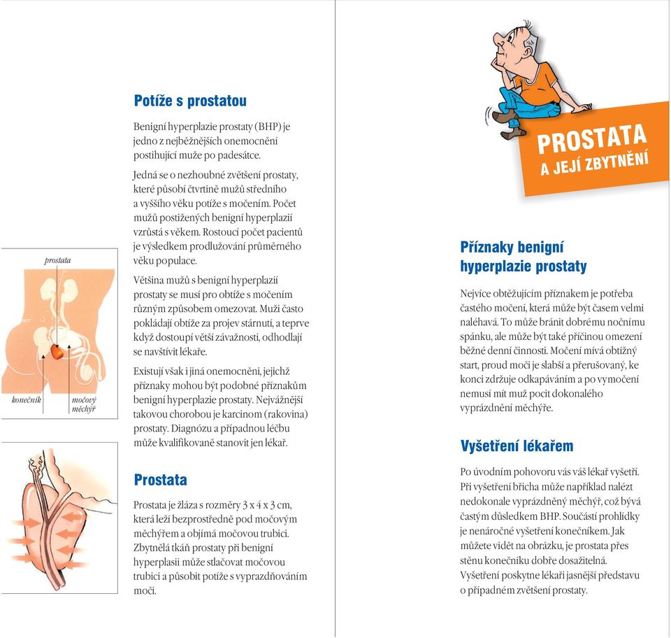 Rostoucí počet pacientů je výsledkem prodlužování průměrného věku populace. Většina mužů s benigní hyperplazií prostaty se musí pro obtíže s močením různým způsobem omezovat.