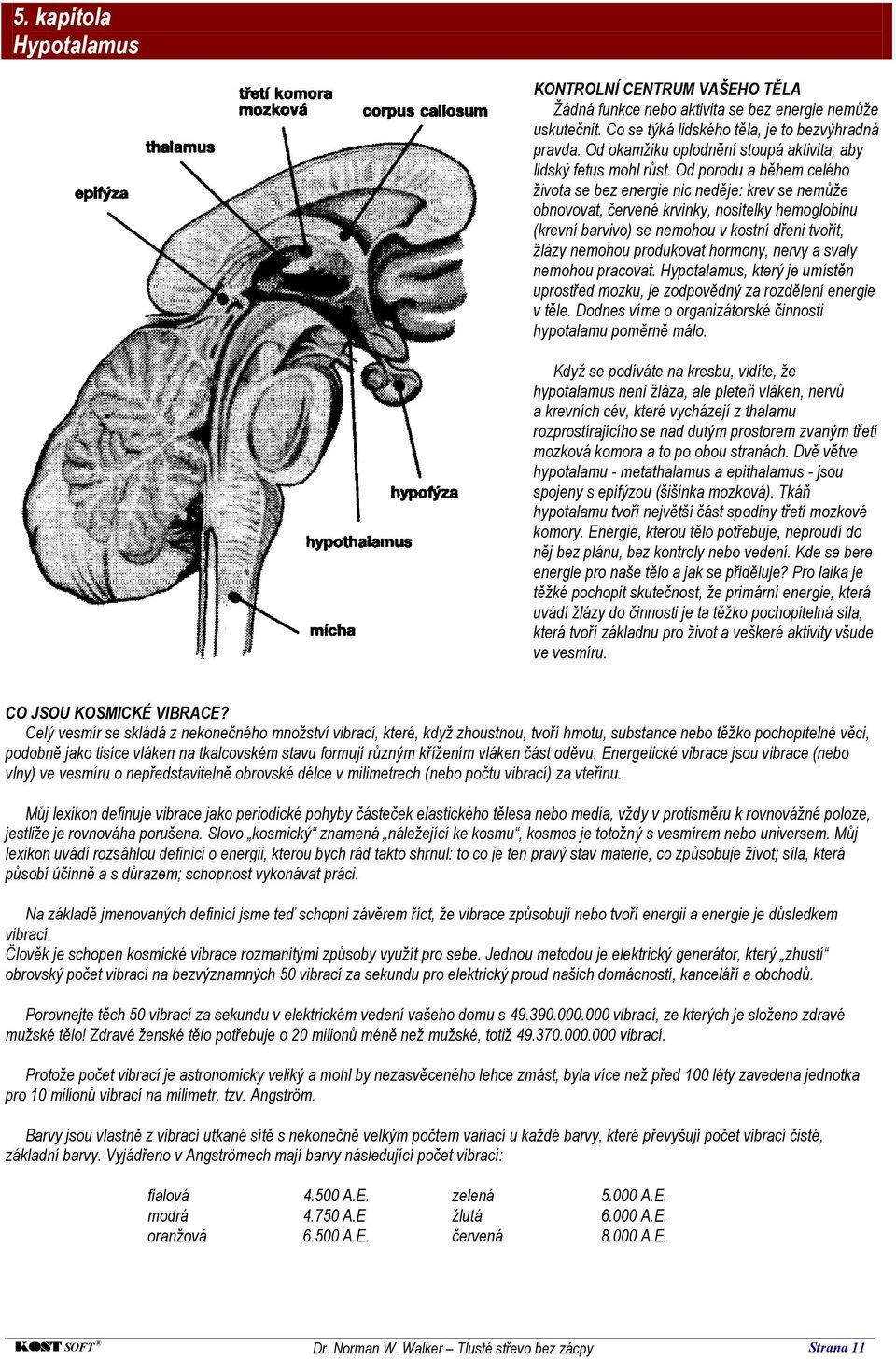 Od porodu a během celého života se bez energie nic neděje: krev se nemůže obnovovat, červené krvinky, nositelky hemoglobinu (krevní barvivo) se nemohou v kostní dřeni tvořit, žlázy nemohou produkovat