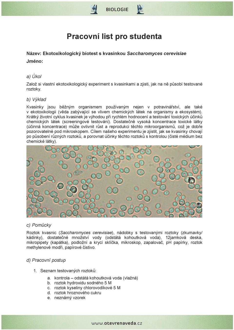 Krátký životní cyklus kvasinek je výhodou při rychlém hodnocení a testování toxických účinků chemických látek (screeningové testování).