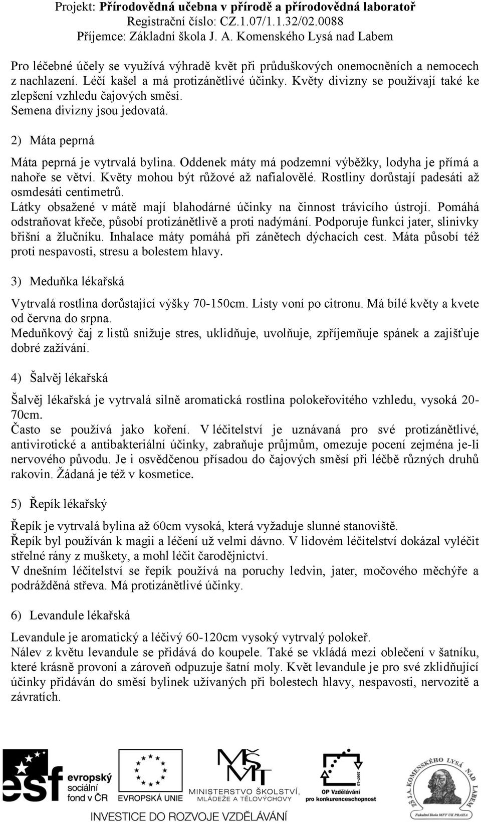 Oddenek máty má podzemní výběžky, lodyha je přímá a nahoře se větví. Květy mohou být růžové až nafialovělé. Rostliny dorůstají padesáti až osmdesáti centimetrů.