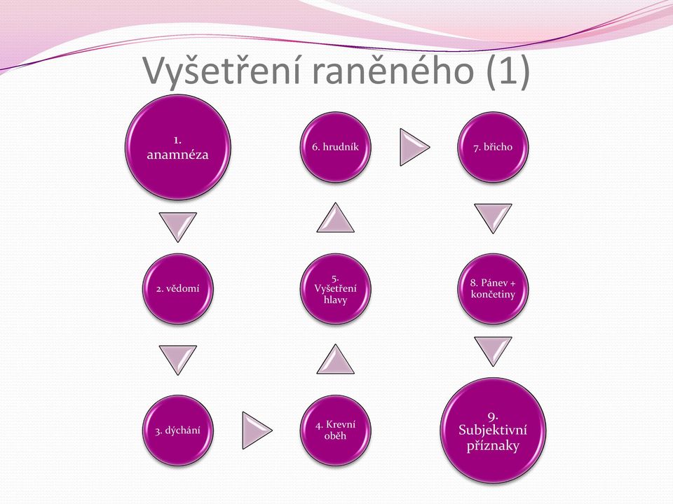 Vyšetření hlavy 8. Pánev + končetiny 3.