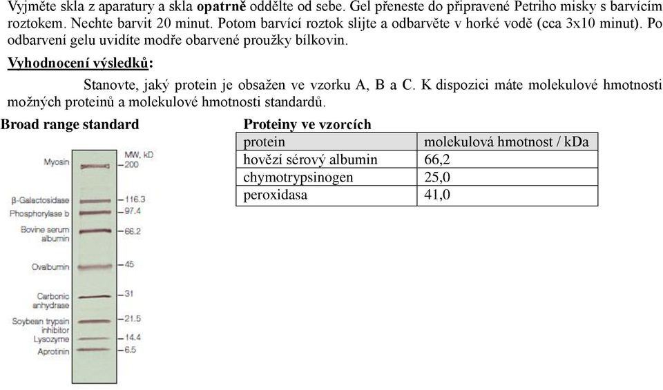 Vyhodnocení výsledků: Stanovte, jaký protein je obsažen ve vzorku A, B a C.