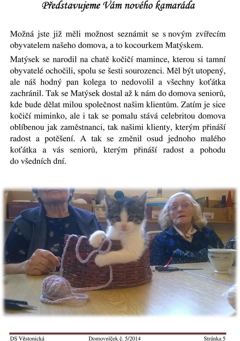 Měl být utopený, ale náš hodný pan kolega to nedovolil a všechny koťátka zachránil. Tak se Matýsek dostal až k nám do domova seniorů, kde bude dělat milou společnost našim klientům.