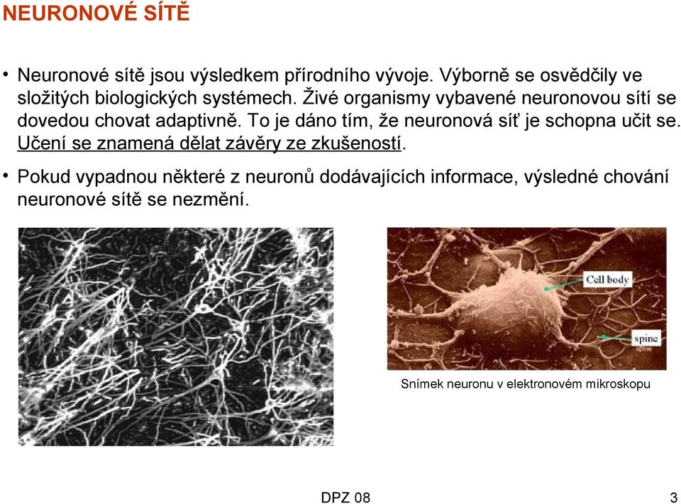 Živé organismy vybavené neuronovou sítí se dovedou chovat adaptivně.