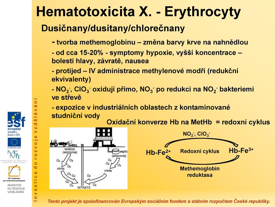 hypoxie, vyšší koncentrace bolesti hlavy, závratě, nausea - protijed IV administrace methylenové modři (redukční ekvivalenty) - NO