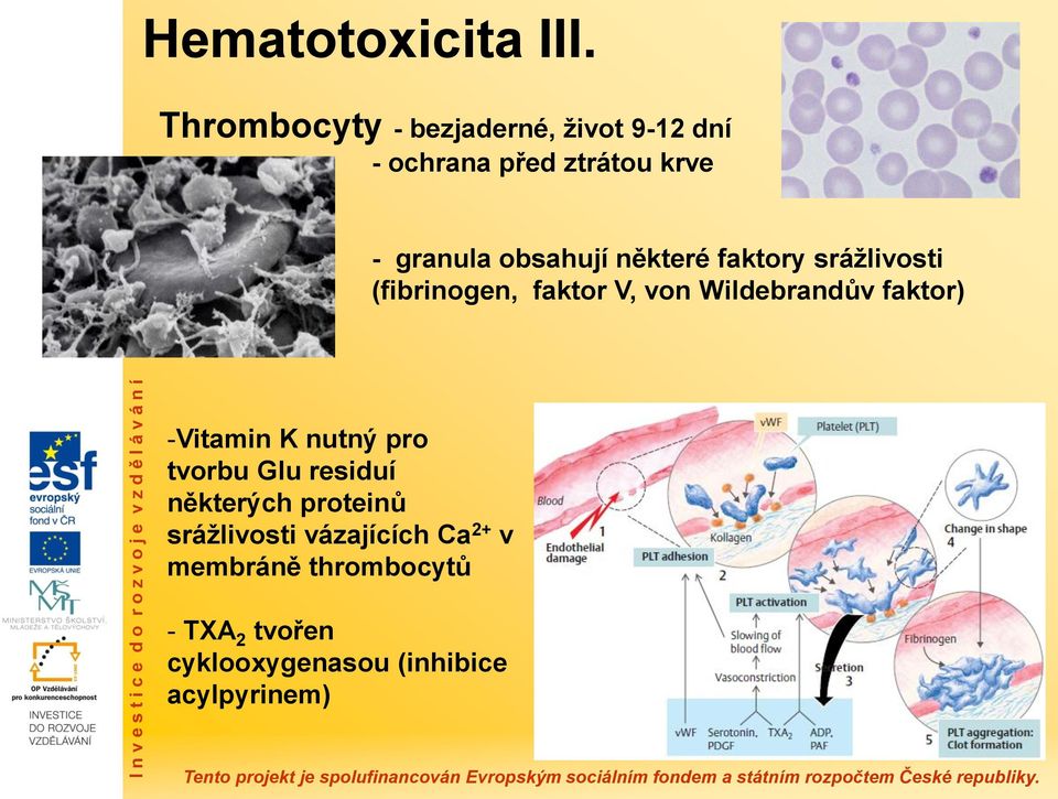 obsahují některé faktory srážlivosti (fibrinogen, faktor V, von Wildebrandův faktor)