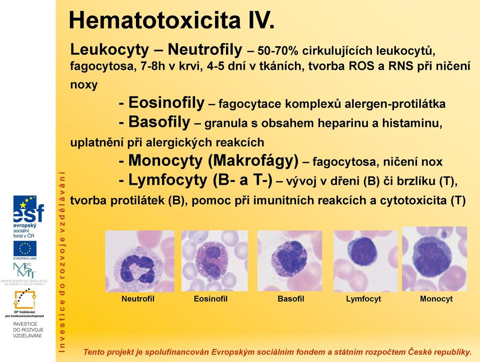 noxy - Eosinofily fagocytace komplexů alergen-protilátka - Basofily granula s obsahem heparinu a histaminu, uplatnění při
