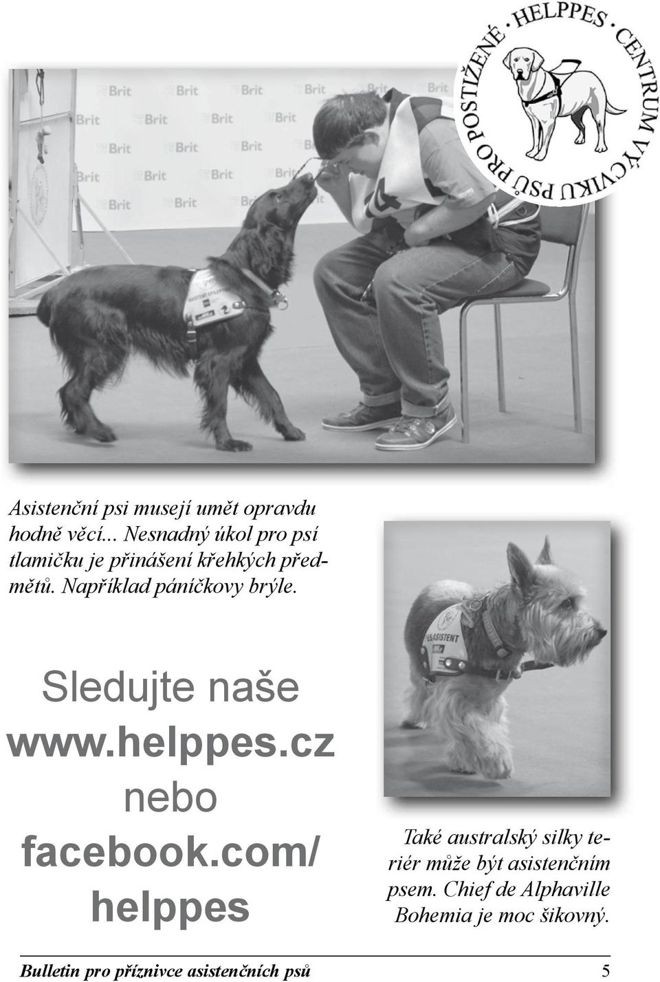 Například páníčkovy brýle. Sledujte naše www.helppes.cz nebo facebook.