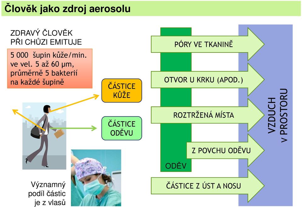 5 až 60 µm, průměrně 5 bakterií na každé šupině ČÁSTICE KŮŽE ČÁSTICE ODĚVU