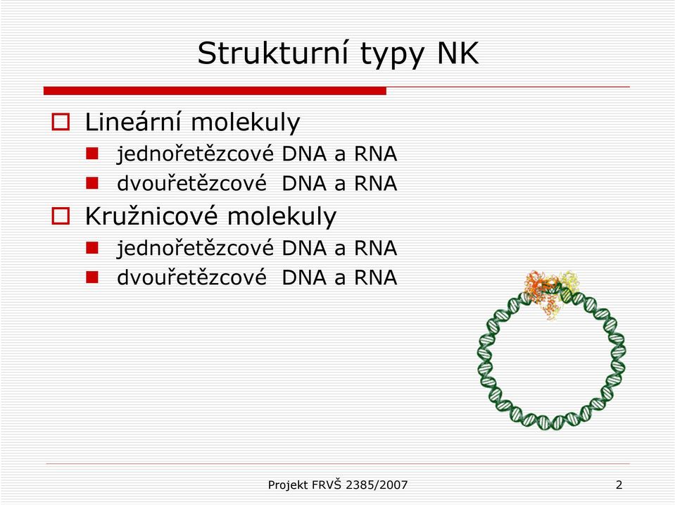 RNA Kružnicové molekuly  RNA Projekt FRVŠ